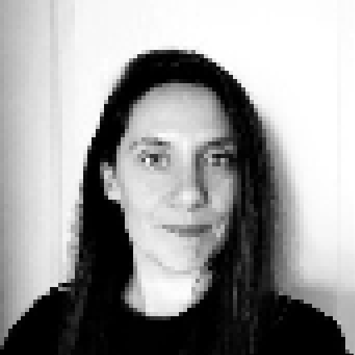 Anne-Laure Freant