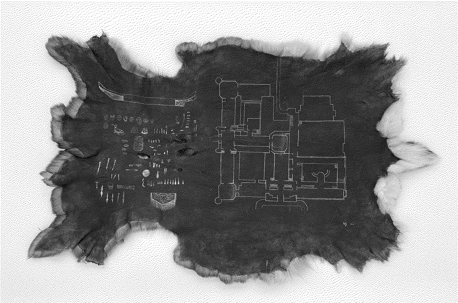 Architecture of Return, Escape (American Museum of Natural History)