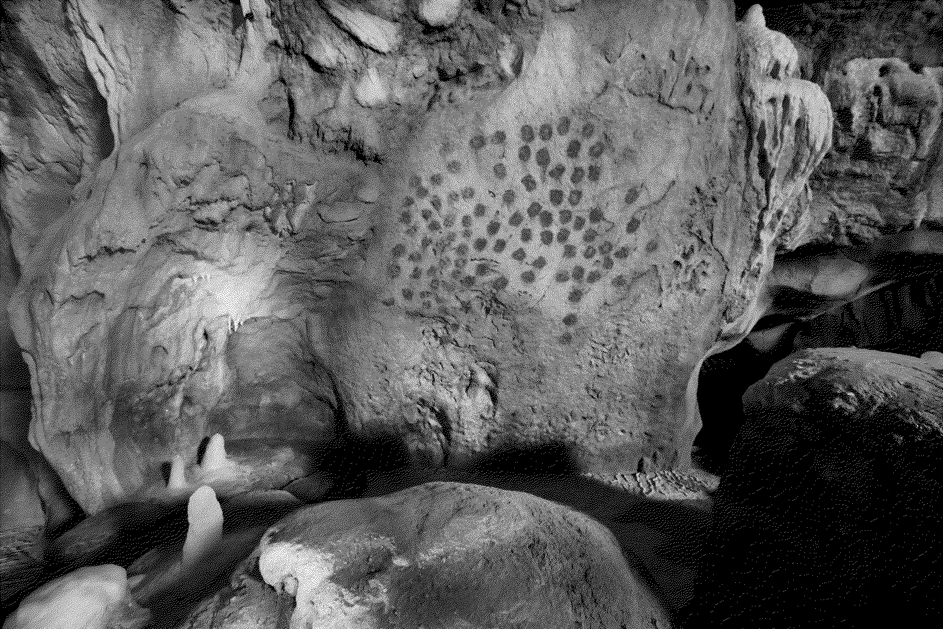 Chauvet Cave Palm-Print Panel (Grand Panneau des Points-Paumes)
