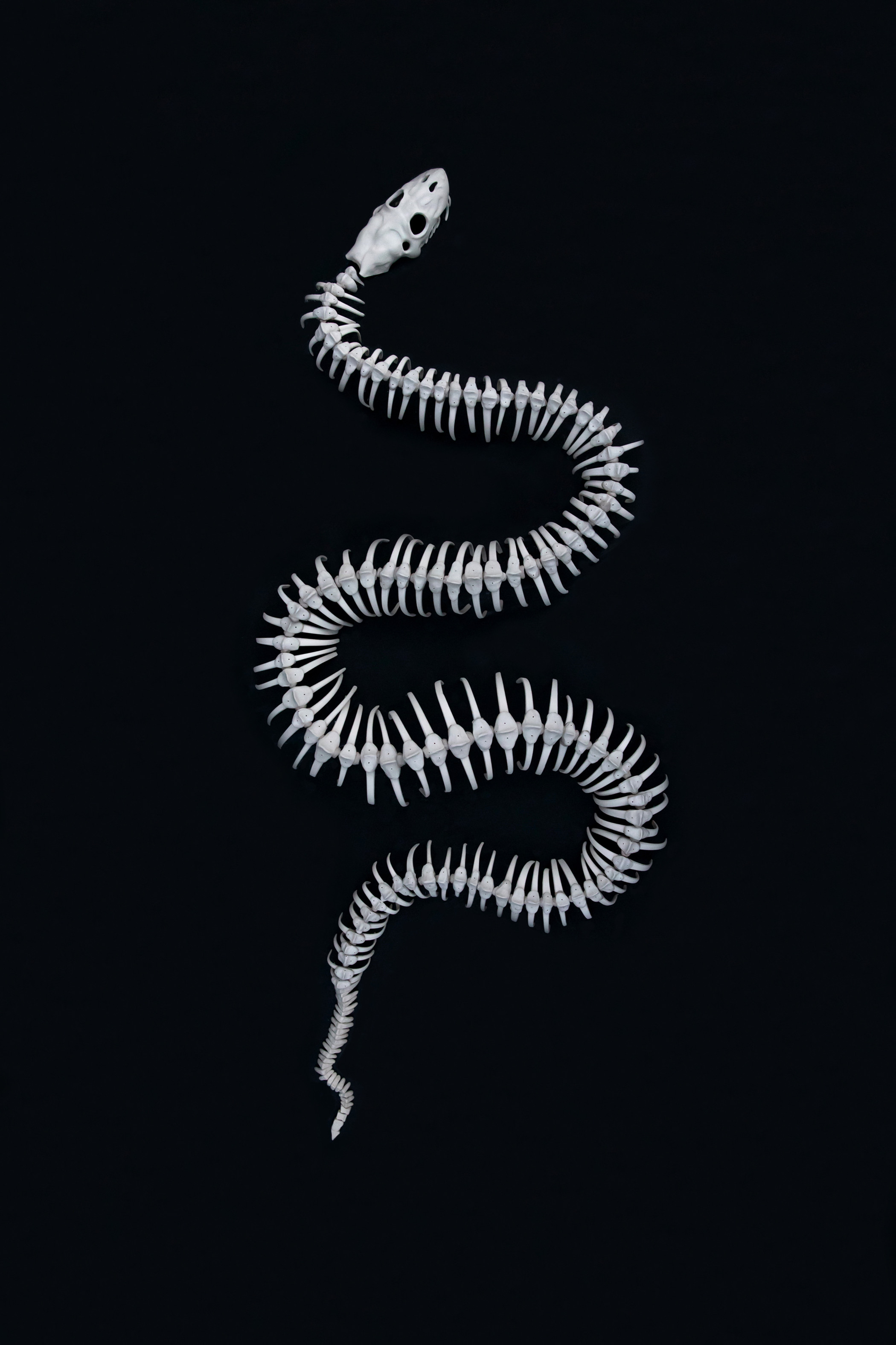 Lily Glass, "A Rib For Every Woman"